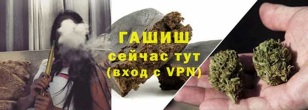 прущие грибы Надым