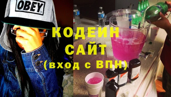 прущие грибы Надым