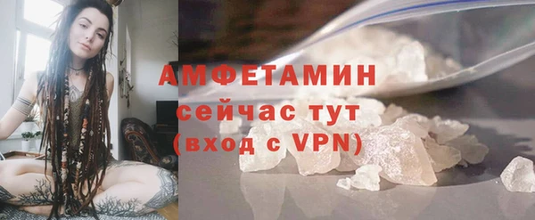 прущие грибы Надым