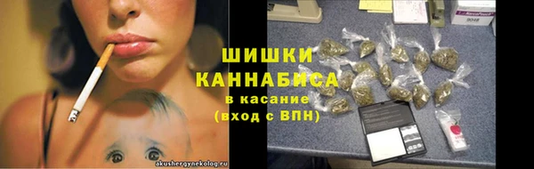 прущие грибы Надым