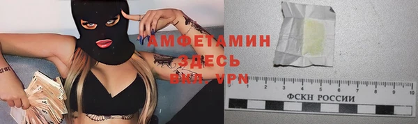 прущие грибы Надым