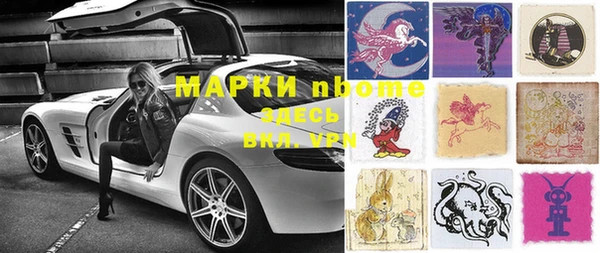 прущие грибы Надым