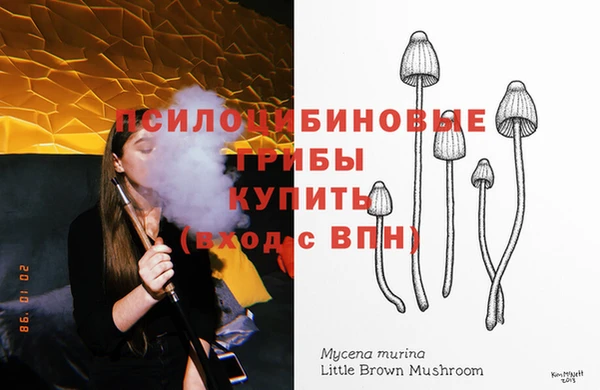 марки lsd Белокуриха