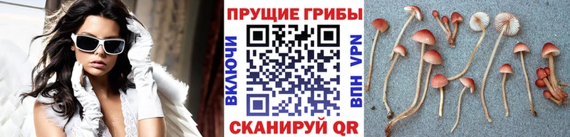 гидра маркетплейс  Кущёвская  Галлюциногенные грибы ЛСД 