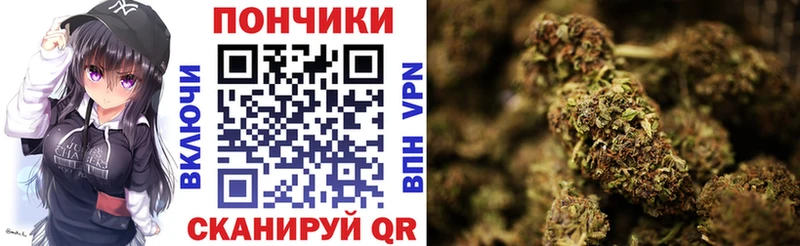 Конопля SATIVA & INDICA  закладки  Кущёвская 